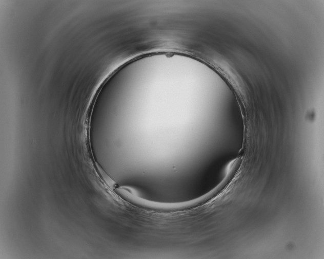 X0000098171292200805151108