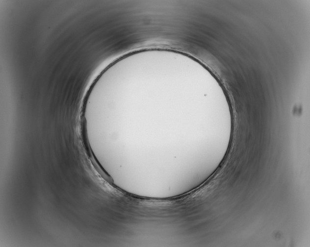 X0000098171296200805151108