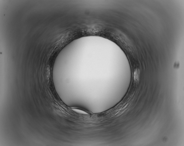 X0000098171299200805151107