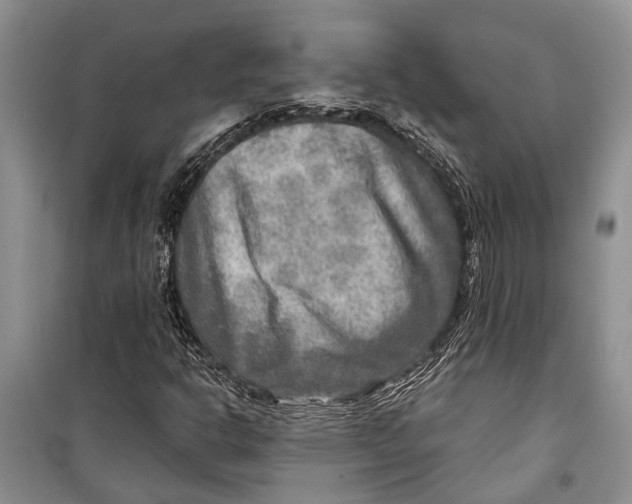 X0000098171302200805151107