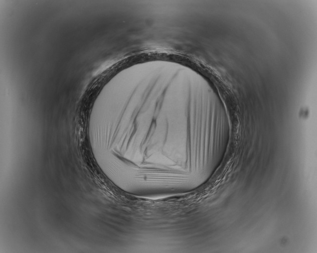 X0000098171303200805151107