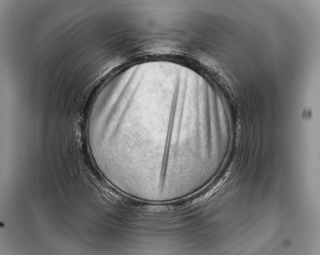 X0000098171305200805151107