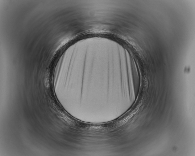 X0000098171306200805151107