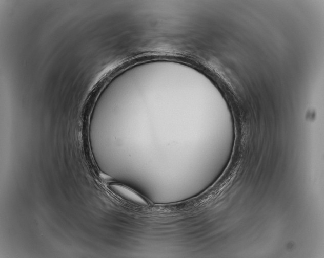 X0000098171307200805151107