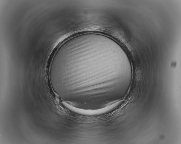 X0000098171308200805151107