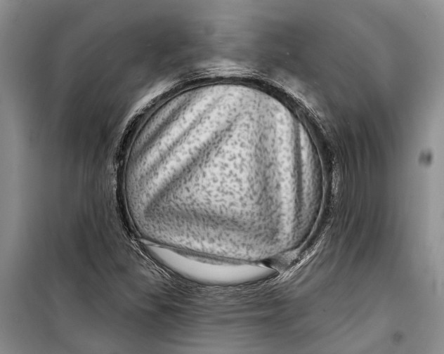 X0000098171309200805151107