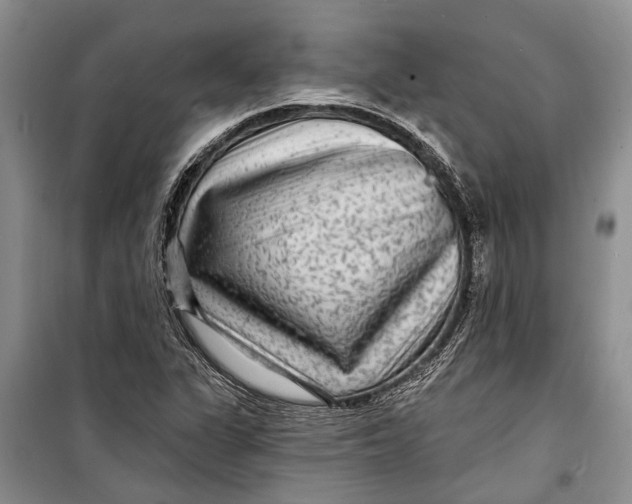 X0000098171311200805151107