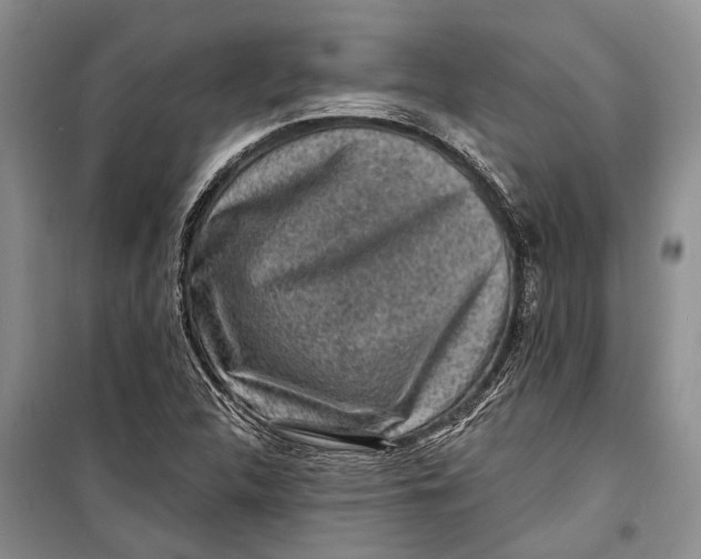 X0000098171312200805151107