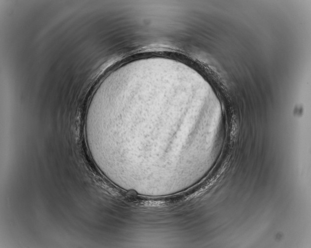 X0000098171313200805151107