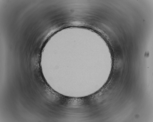 X0000098171314200805151107