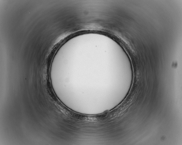 X0000098171315200805151107