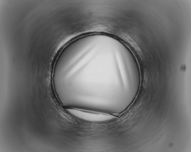 X0000098171316200805151107