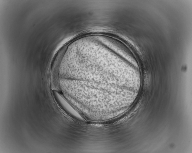 X0000098171317200805151107