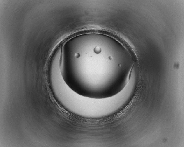 X0000098171318200805151107