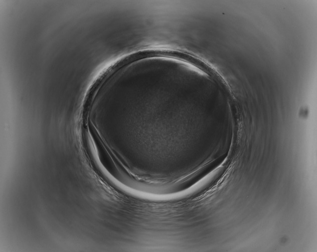 X0000098171319200805151107