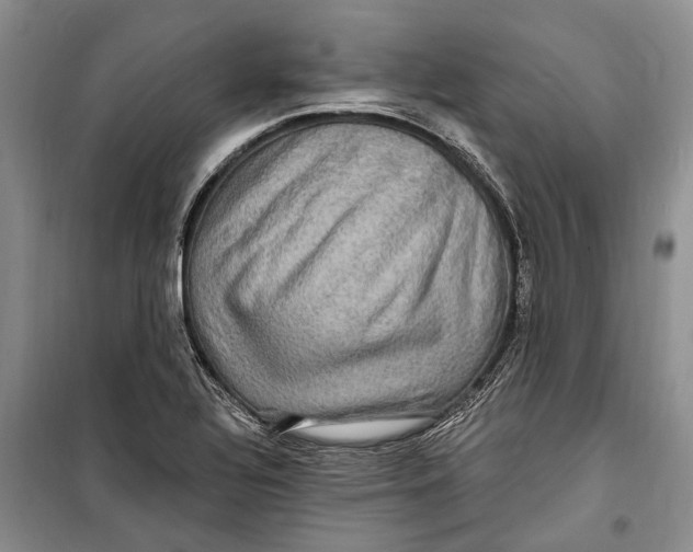 X0000098171320200805151107