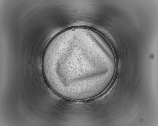 X0000098171321200805151107