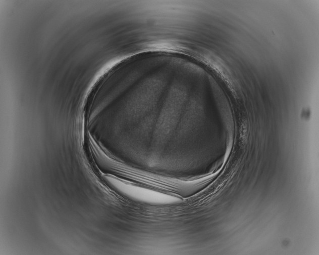 X0000098171323200805151107