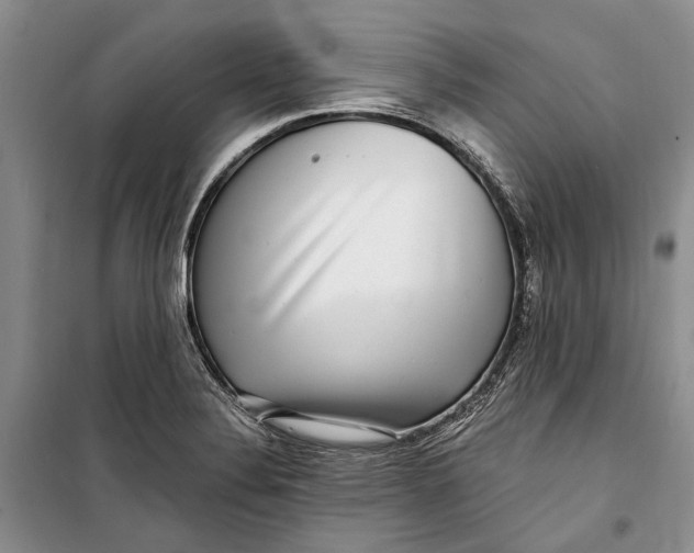 X0000098171324200805151107