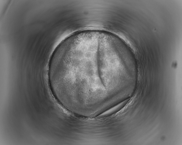 X0000098171325200805151107