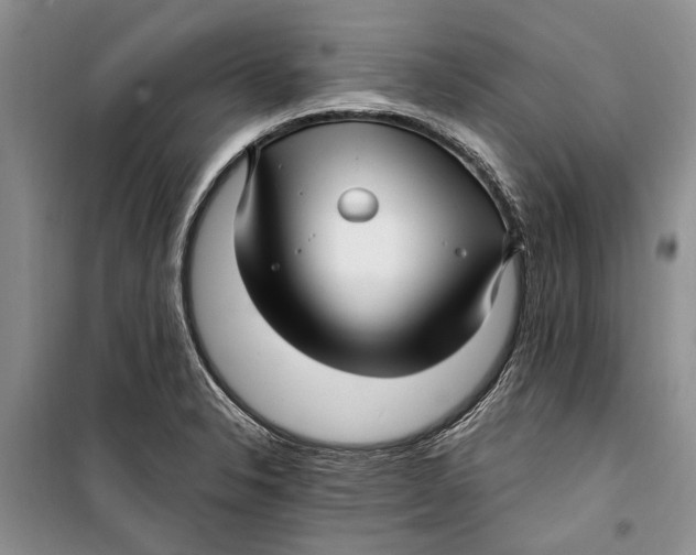 X0000098171326200805151107