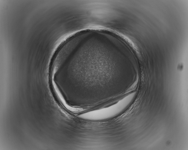 X0000098171327200805151107