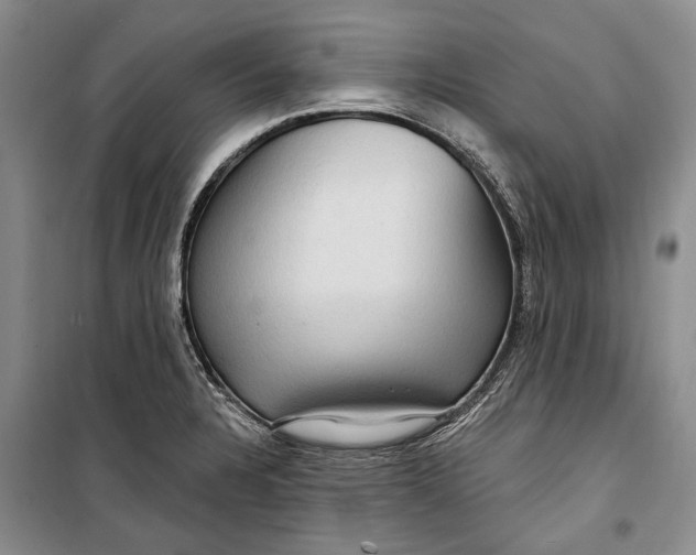 X0000098171328200805151107