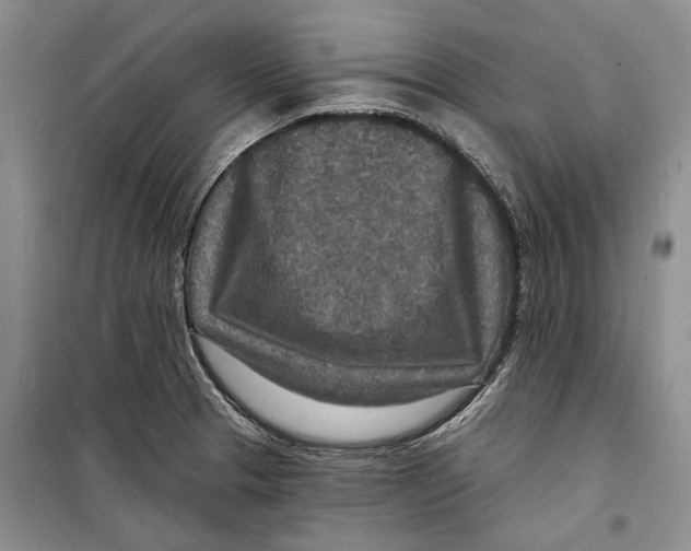 X0000098171329200805151107