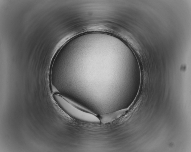 X0000098171330200805151107