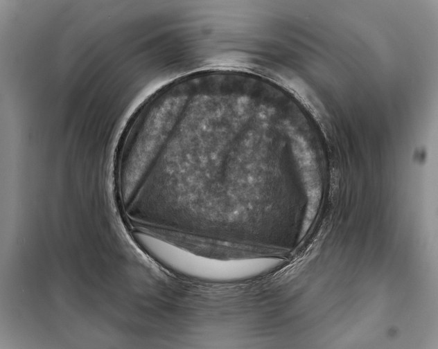 X0000098171331200805151107