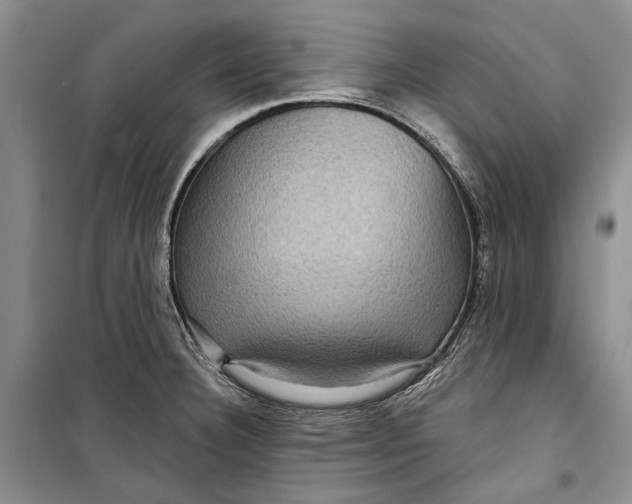 X0000098171332200805151107