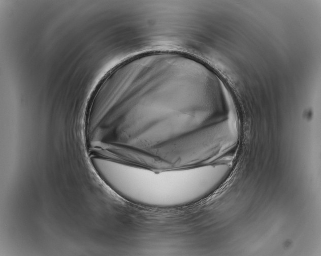 X0000098171334200805151107