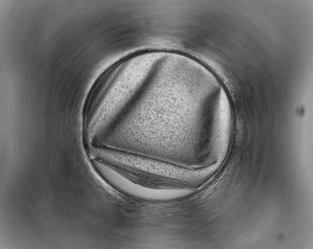 X0000098171335200805151107