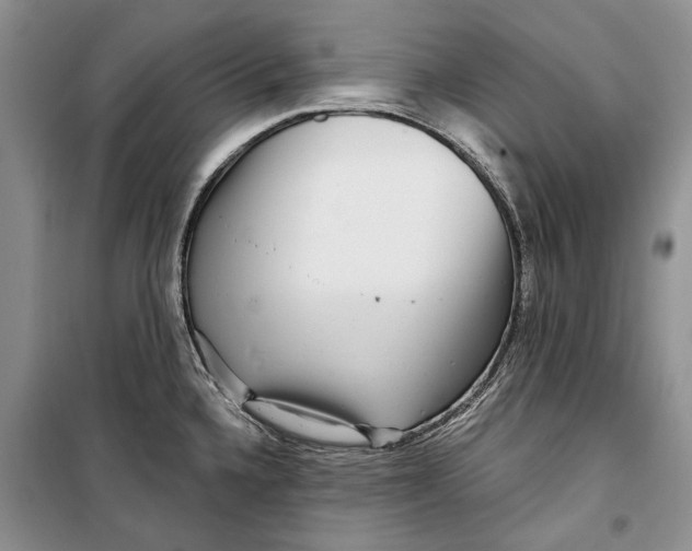 X0000098171336200805151107