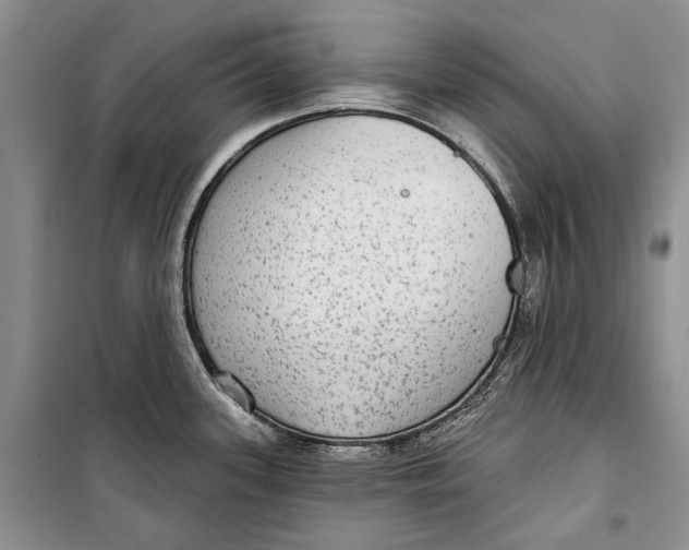 X0000098171339200805151107