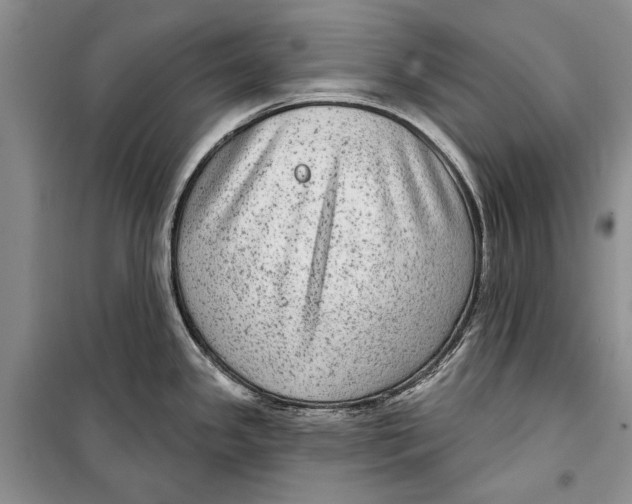 X0000098171341200805151107