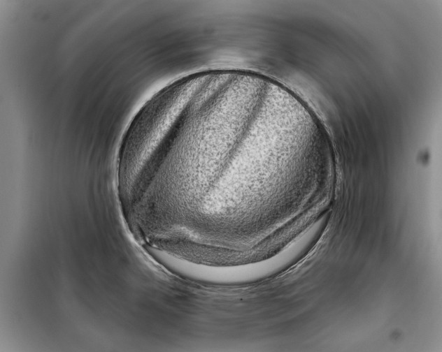 X0000098171342200805151107