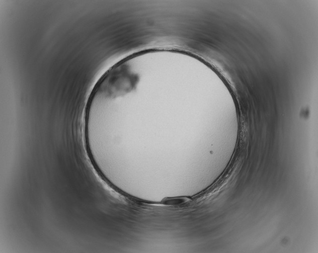 X0000098171343200805151107