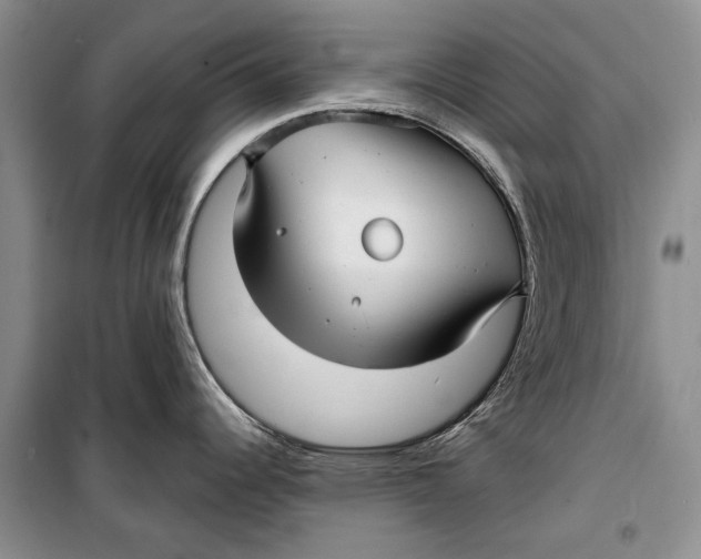 X0000098171344200805151108