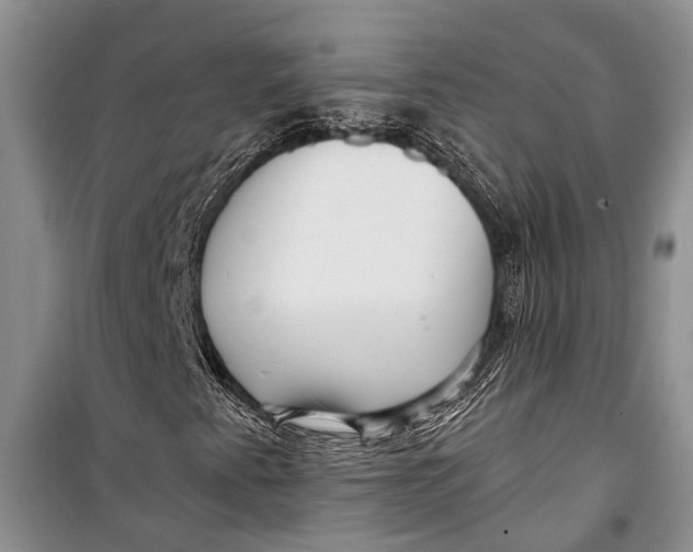 X0000098171345200805151107