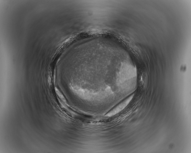 X0000098171348200805151107