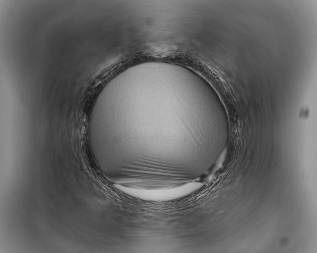 X0000098171349200805151107