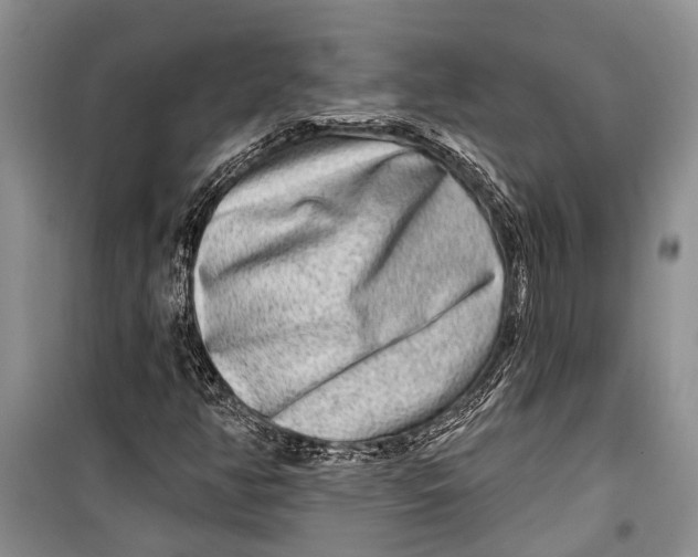 X0000098171350200805151107