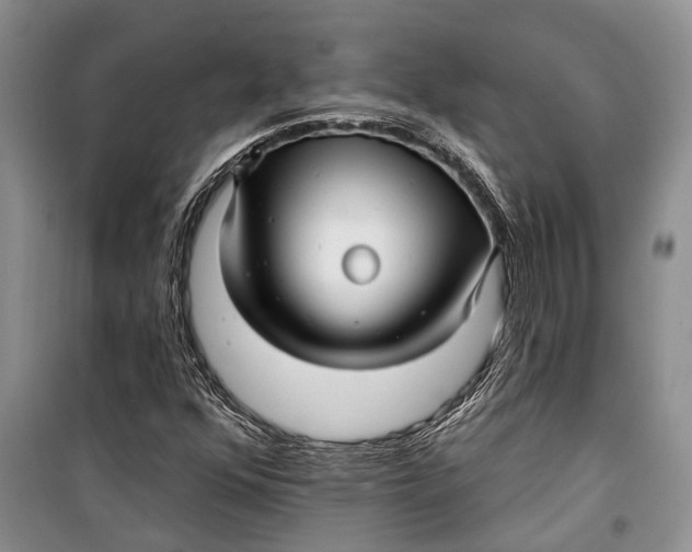 X0000098171352200805151107