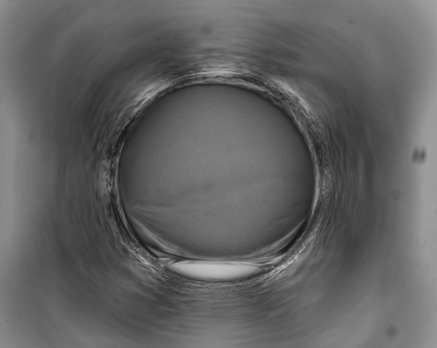 X0000098171353200805151107