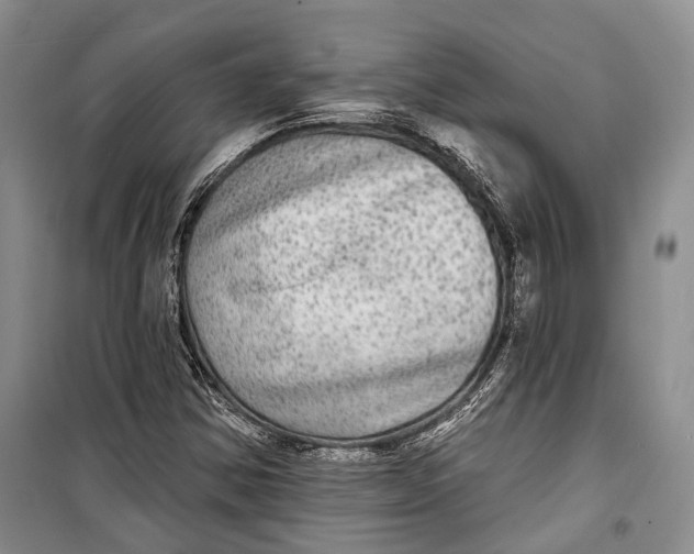 X0000098171354200805151107