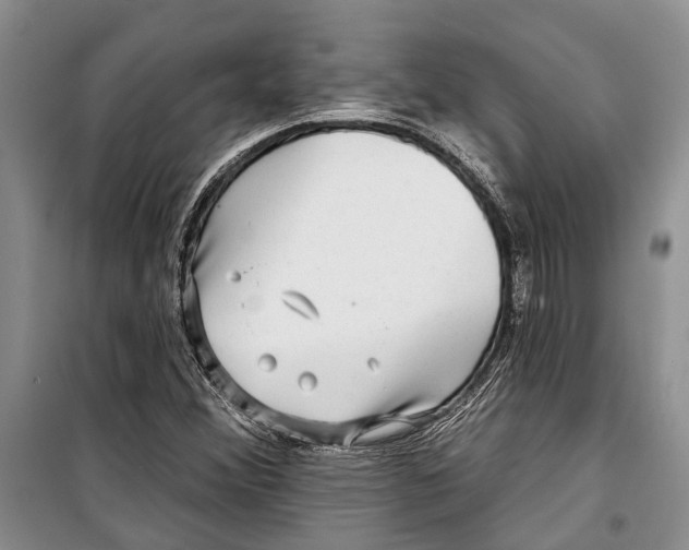 X0000098171356200805151107