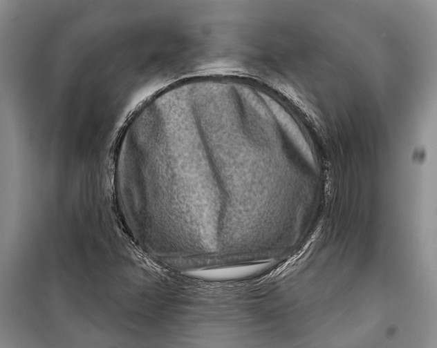 X0000098171358200805151107