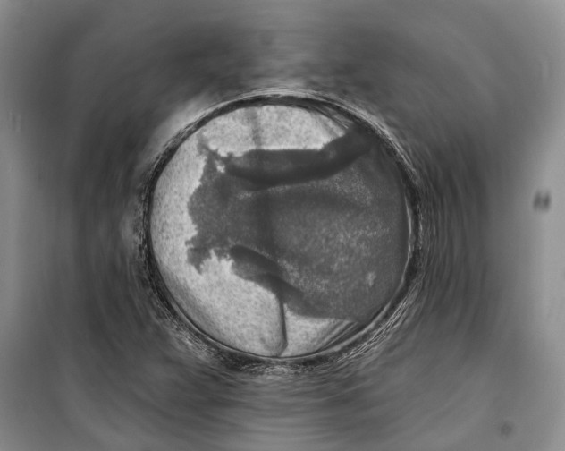 X0000098171359200805151107