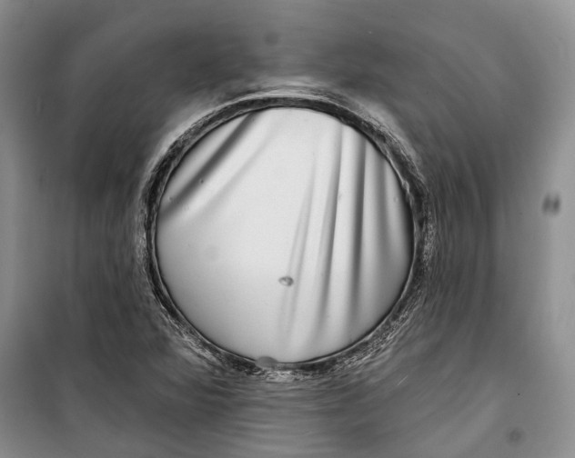 X0000098171360200805151107